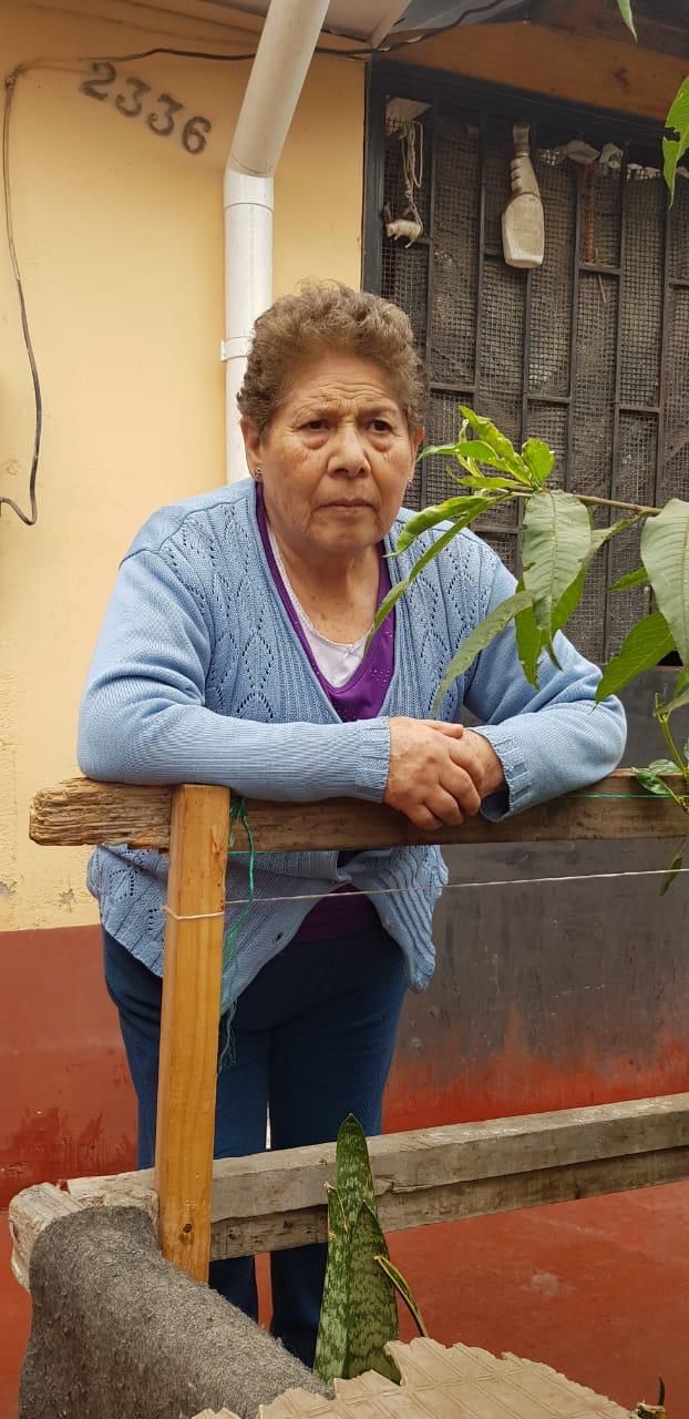 Imagen galería 2
